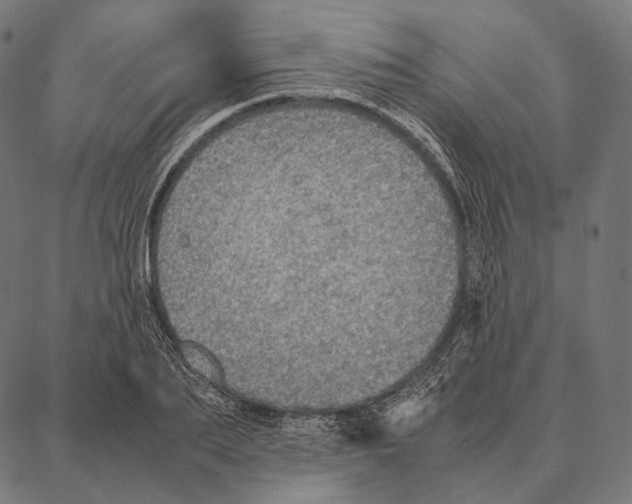 X0000087360887200705181149