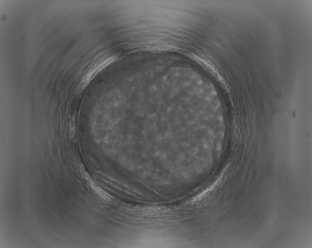 X0000087360889200705181149