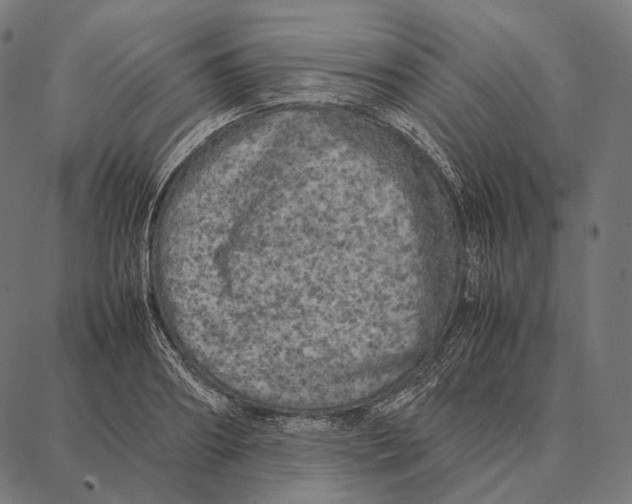 X0000087360890200705181149