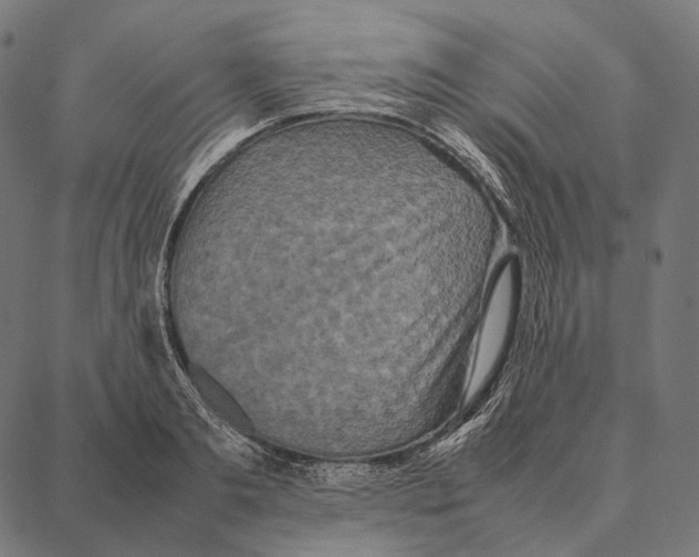 X0000087360893200705181148