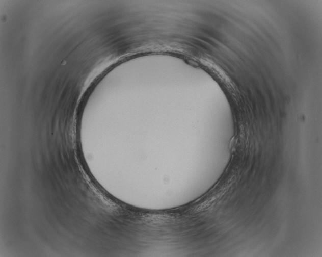 X0000087360894200705181148