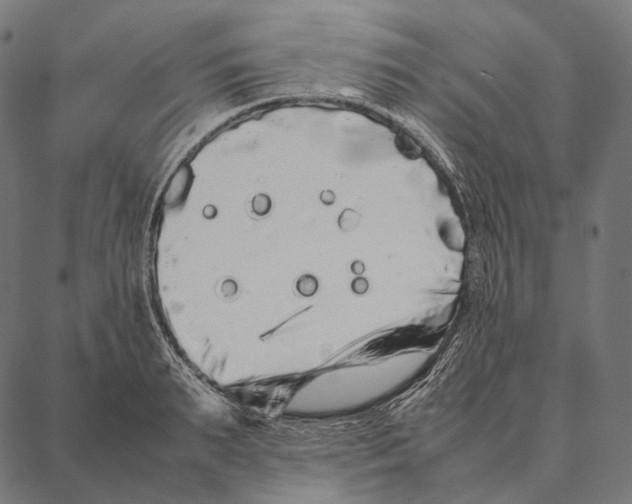 X0000087360895200705181148