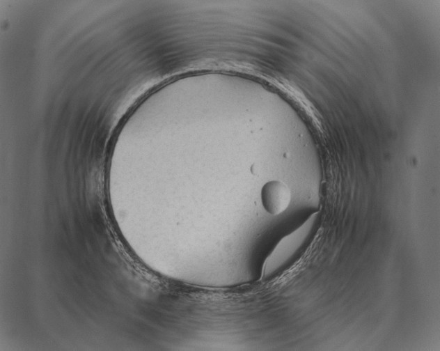 X0000087360896200705181148