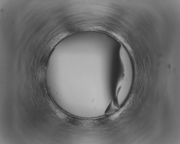 X0000087360897200705181148