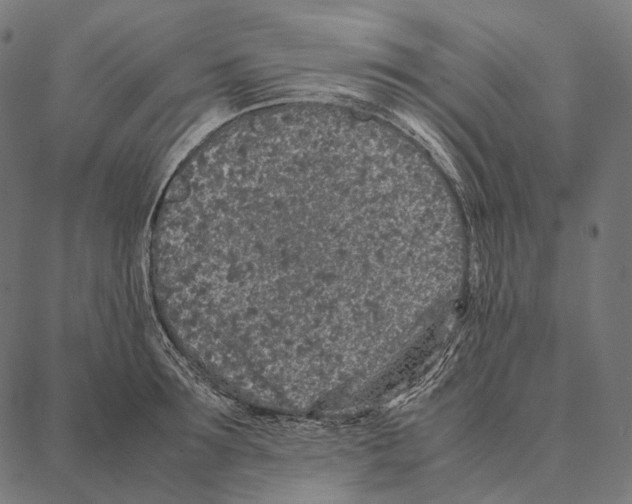 X0000087360899200705181148