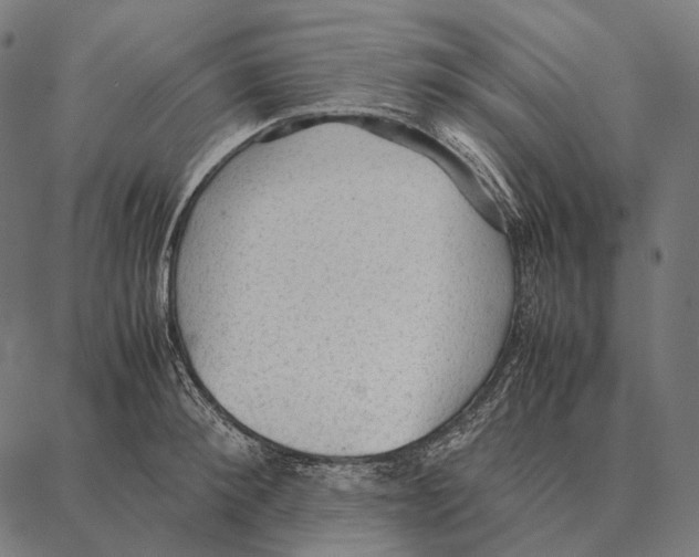 X0000087360900200705181148