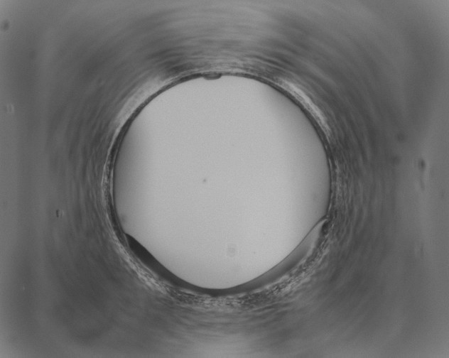 X0000087360901200705181148