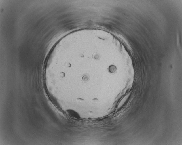 X0000087360903200705181148