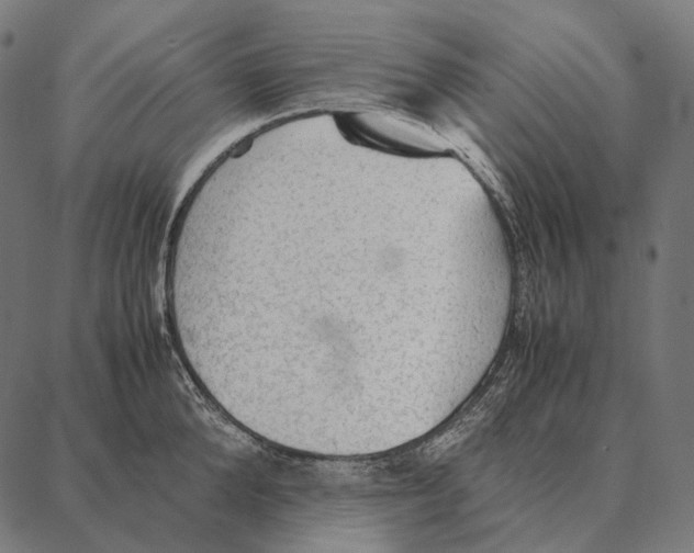 X0000087360904200705181148