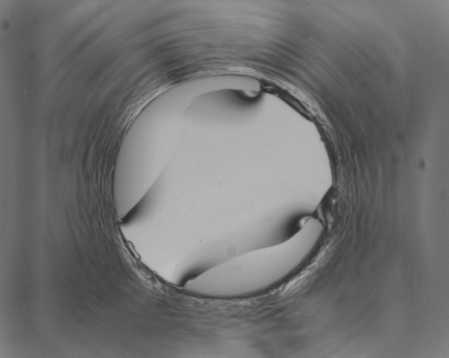 X0000087360905200705181148