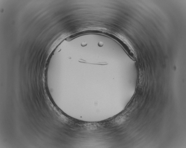 X0000087360906200705181148