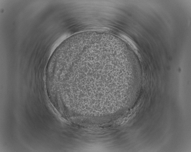 X0000087360907200705181148