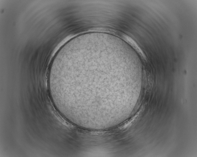 X0000087360908200705181148