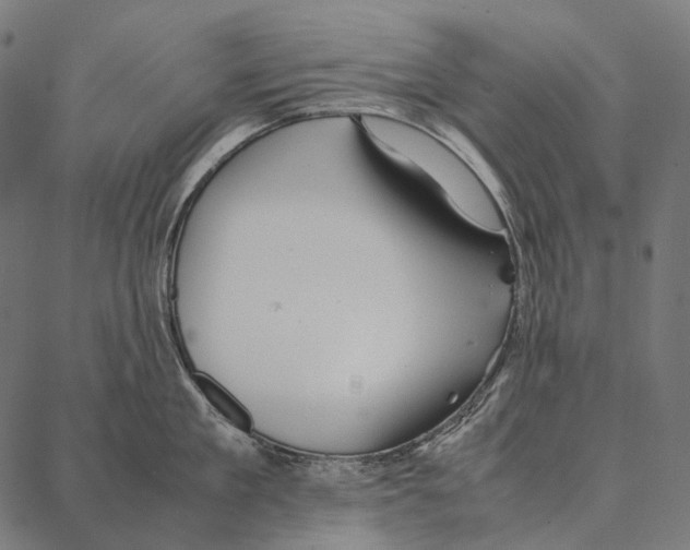 X0000087360909200705181148