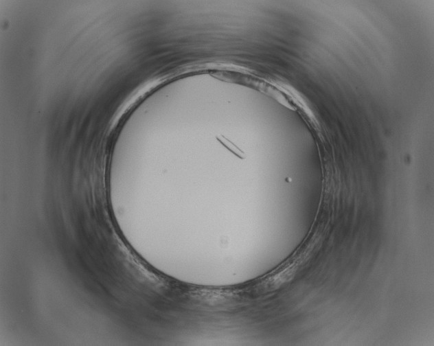 X0000087360910200705181148