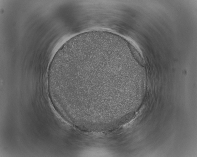 X0000087360911200705181148