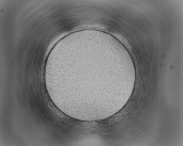 X0000087360912200705181148