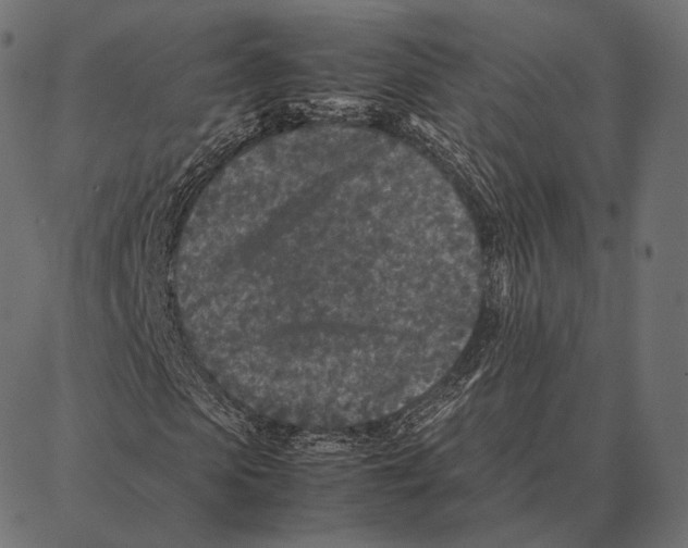 X0000087360913200705181147