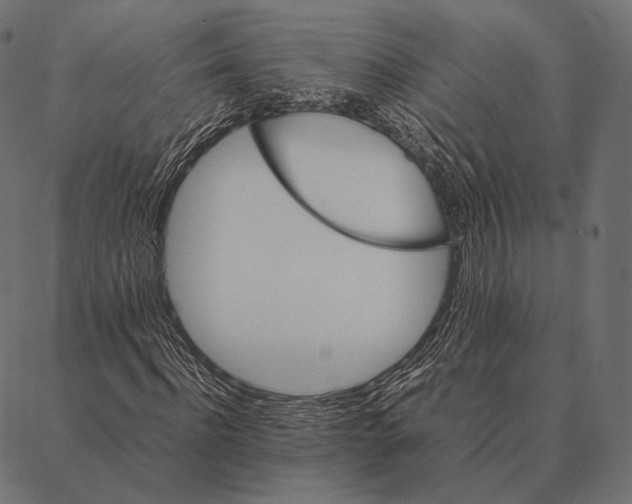 X0000087360916200705181147