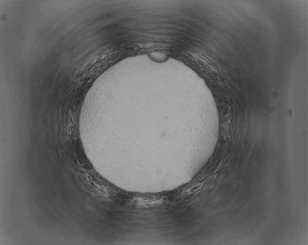 X0000087360917200705181147