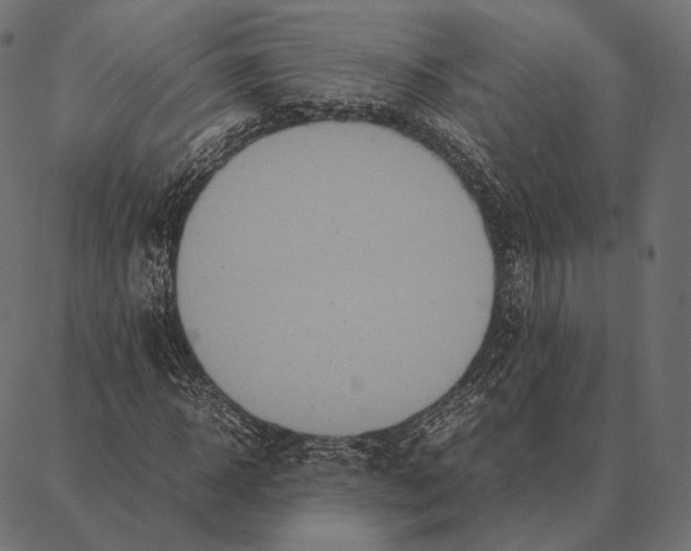 X0000087360918200705181147