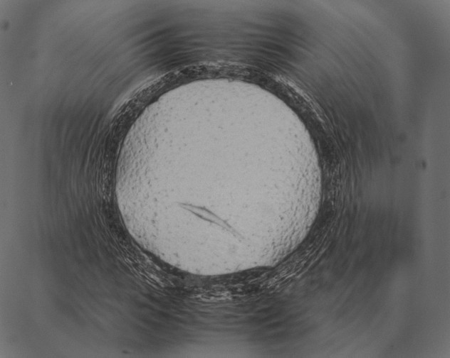 X0000087360919200705181147