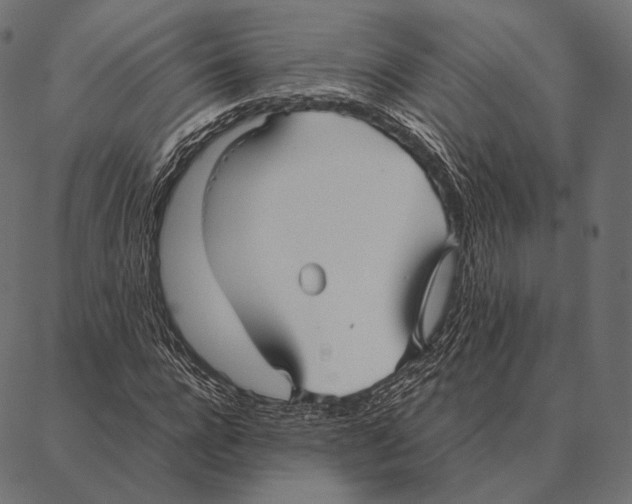 X0000087360920200705181148