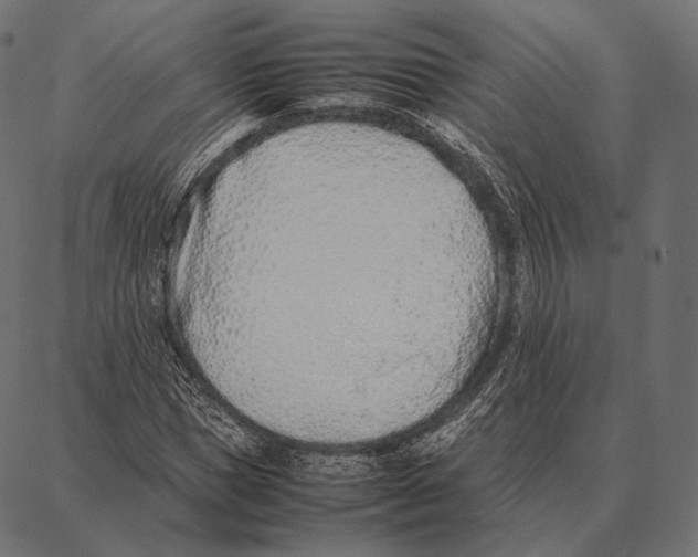 X0000087360921200705181148