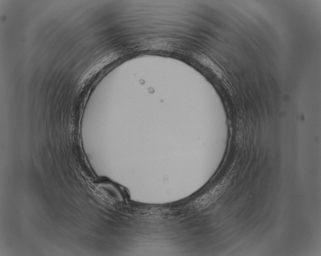 X0000087360922200705181148