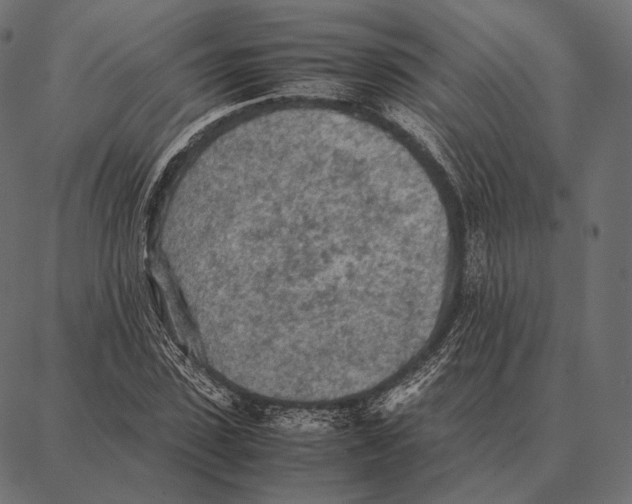 X0000087360923200705181148