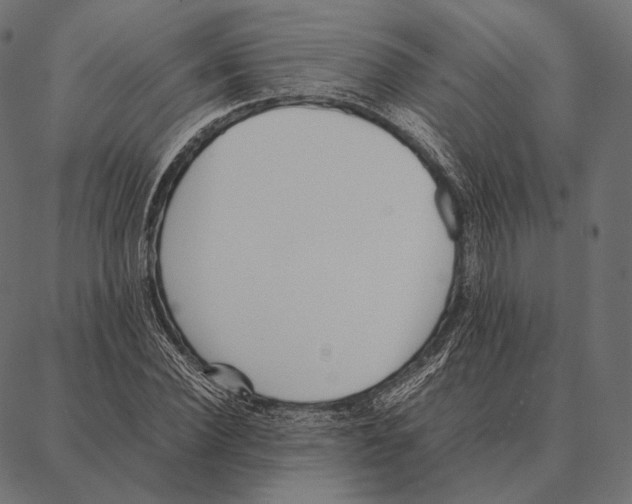 X0000087360924200705181148