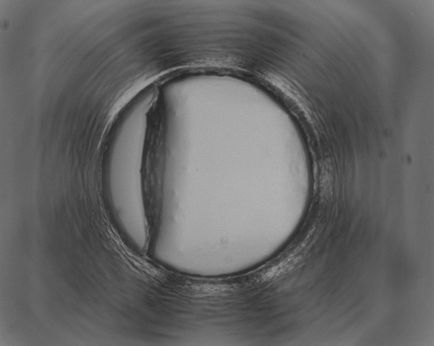 X0000087360925200705181148