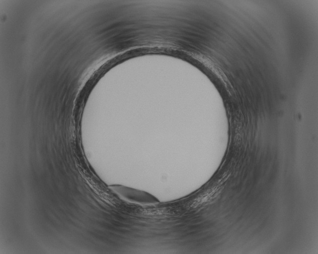 X0000087360927200705181148