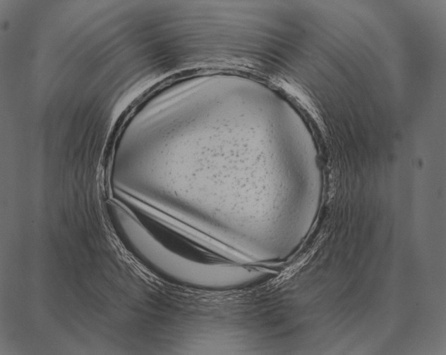 X0000087360928200705181148