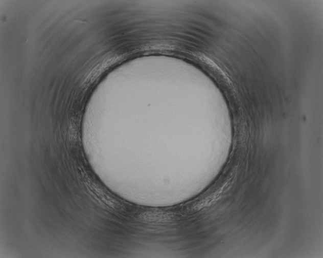 X0000087360929200705181148