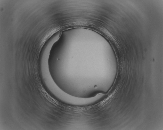 X0000087360930200705181148