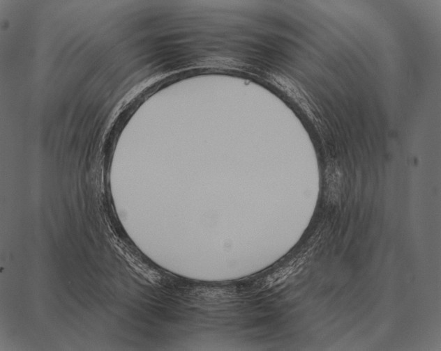 X0000087360931200705181148