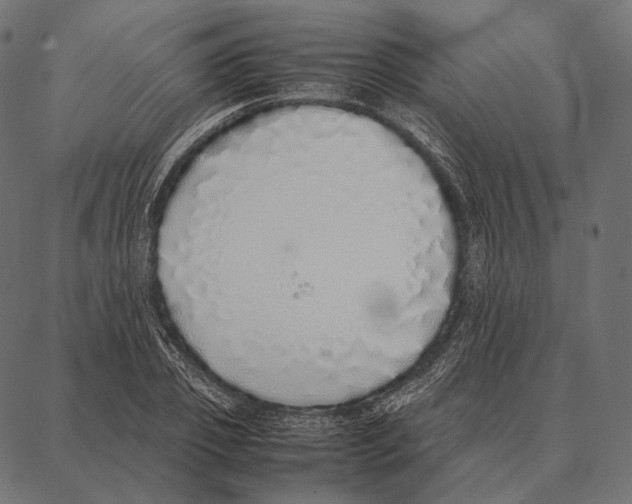 X0000087360933200705181148