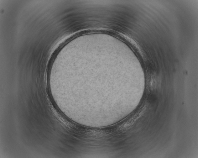 X0000087360935200705181148