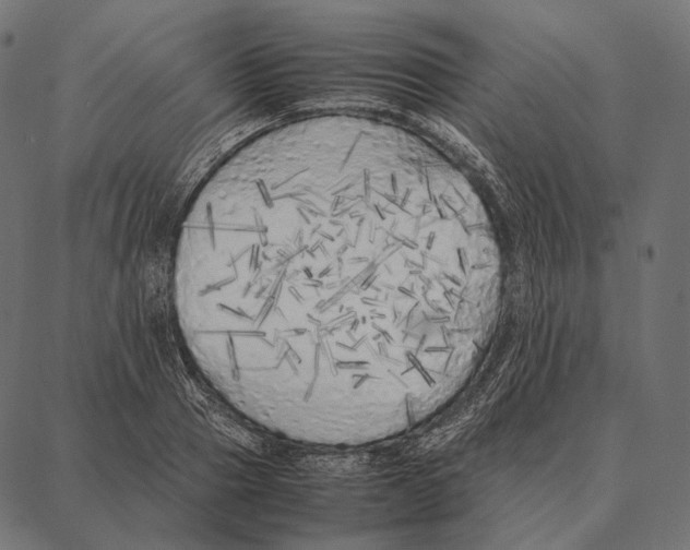 X0000087360937200705181148