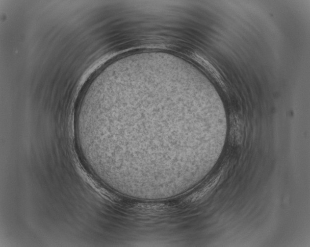 X0000087360939200705181148