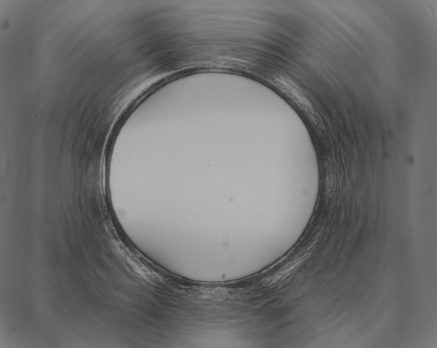 X0000087360940200705181148