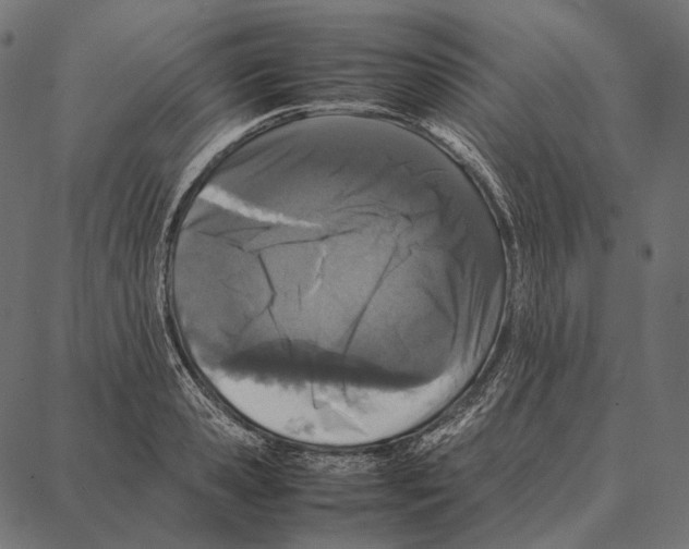 X0000087360941200705181148