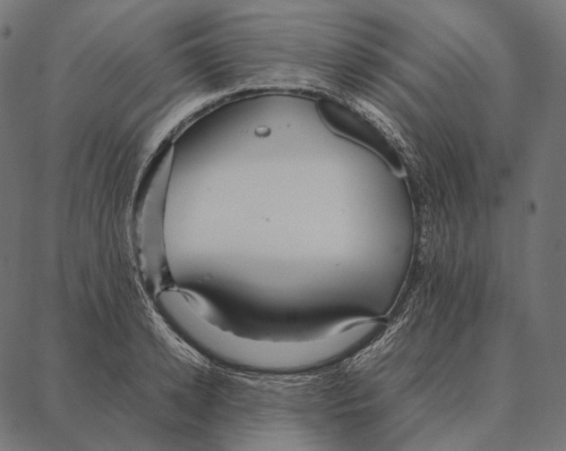 X0000087360942200705181148