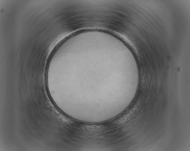 X0000087360943200705181148