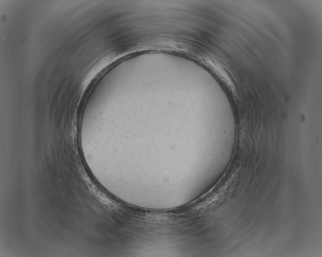 X0000087360944200705181148