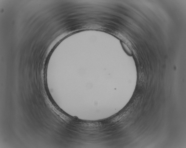 X0000087360947200705181148