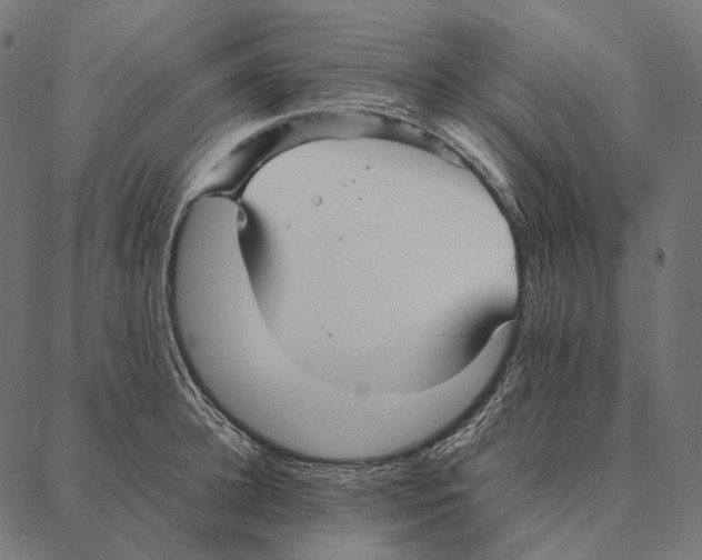 X0000087360948200705181148