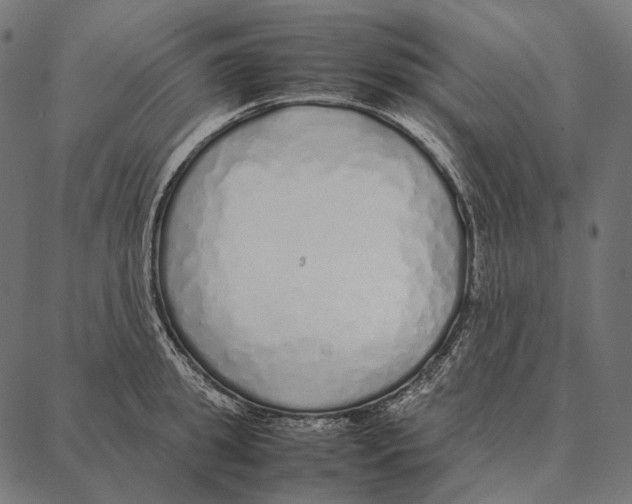 X0000087360949200705181148