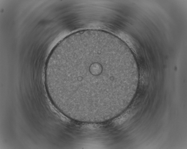 X0000087360950200705181148